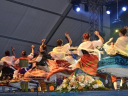 Festival de Folkore en Mula